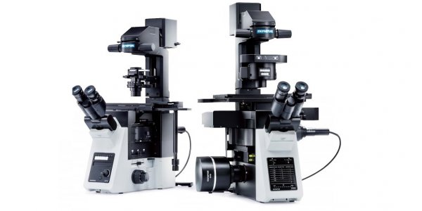микроскоп ix53