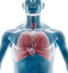 бронхіальна астма та спорт