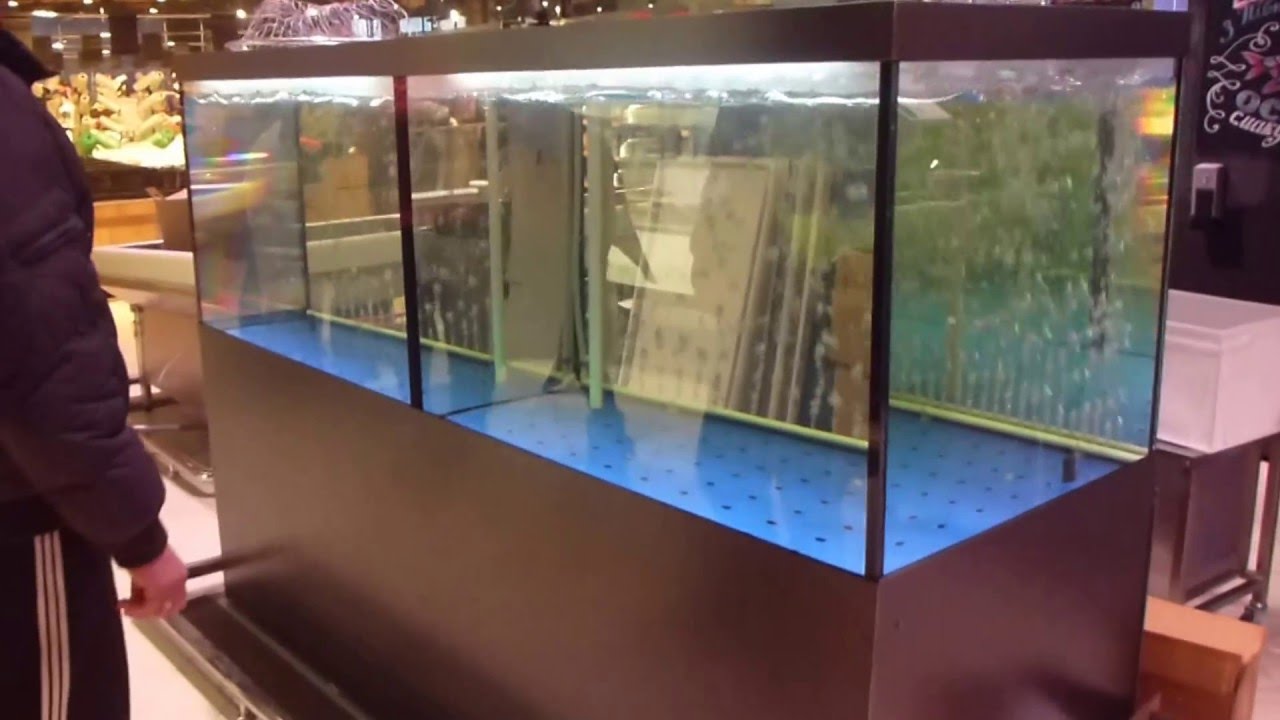 промисловий акваріум