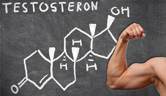 Тестостерон 